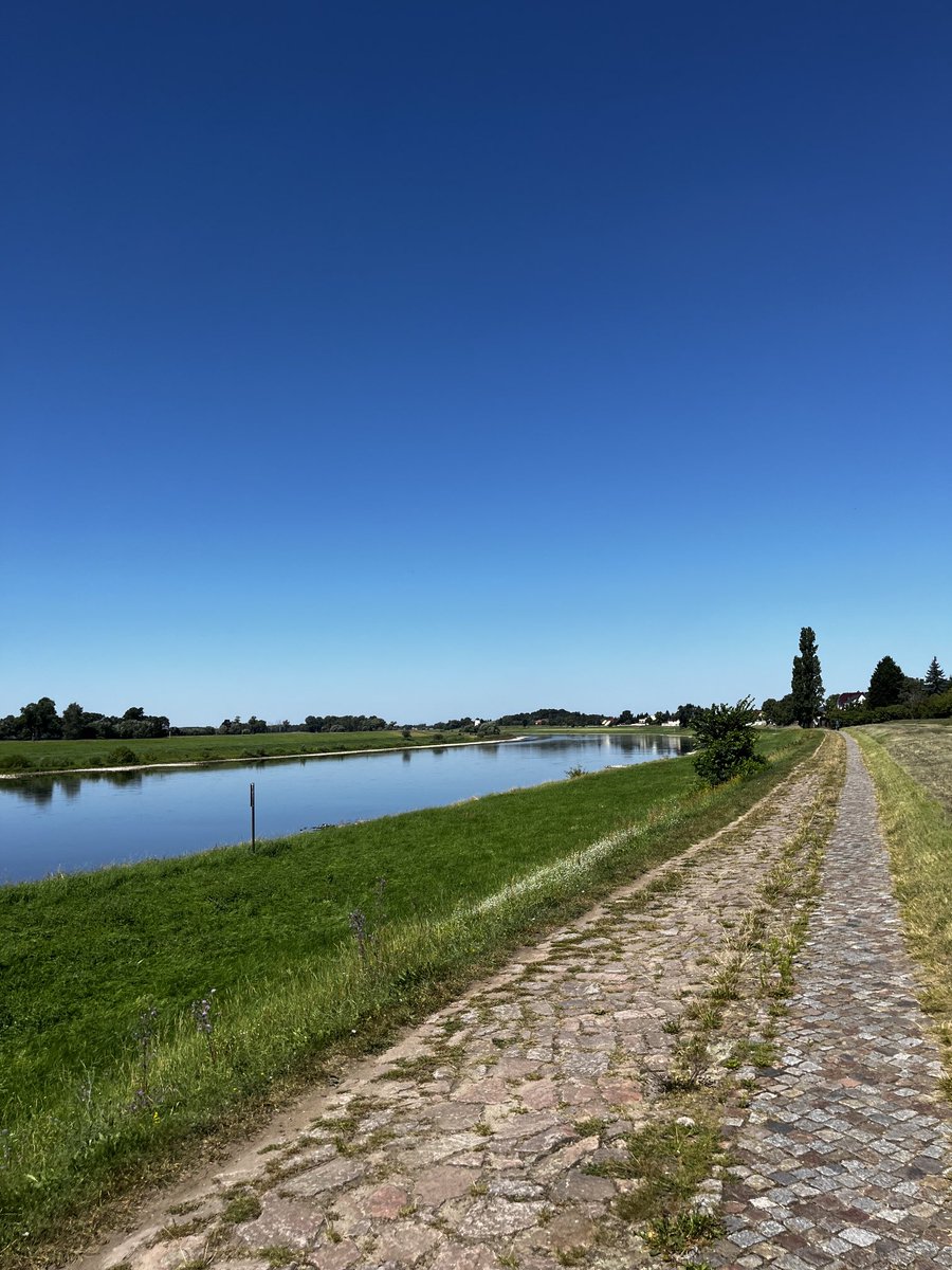 Robert Muehsig tweet media