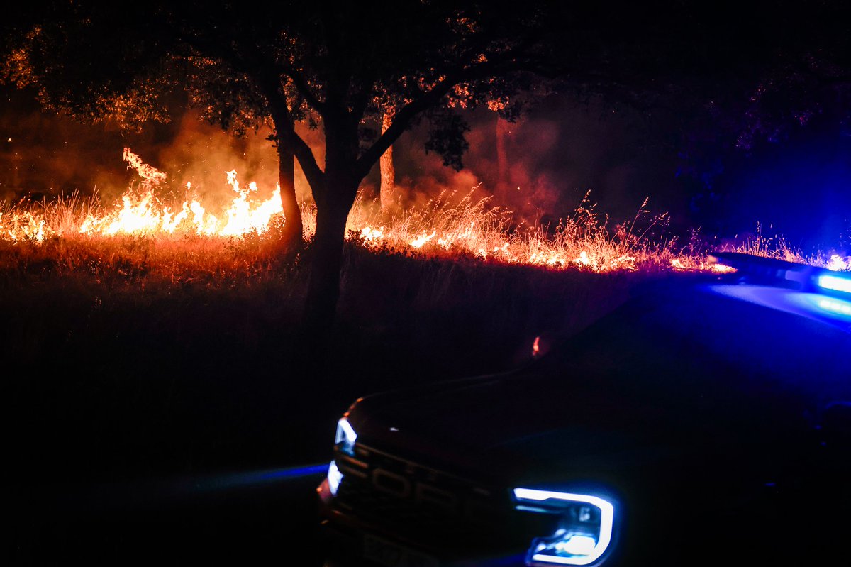 Incendio forestal declarado este lunes en el municipio de Tres Cantos, Madrid.

📸©️ Pablo R. Seco