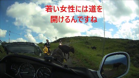 Rider_GL5770's tweet photo. @BikeJIN_mag 島の人の話しだと、車ならフェリーに乗り遅れる事もあるって言ってました🤣 https://t.co/QIkFn6zIvH