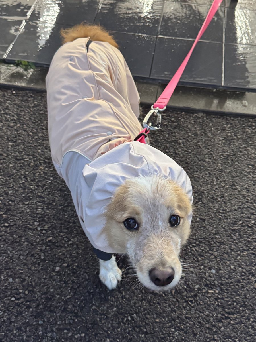 울 동넨 비와 비! 🤭