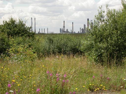 The CJS Team tweet media