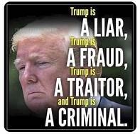 #47 Murderer.LIAR.Felon. ☠️ 🇺🇦 tweet media
