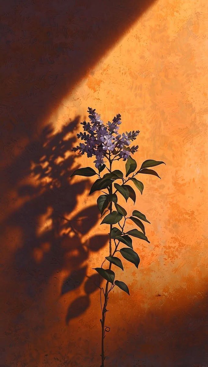 Duvarları Tamir eder boyarsın
Ama çatlakları hala aklındadır
#kahve
☕☕
#salı