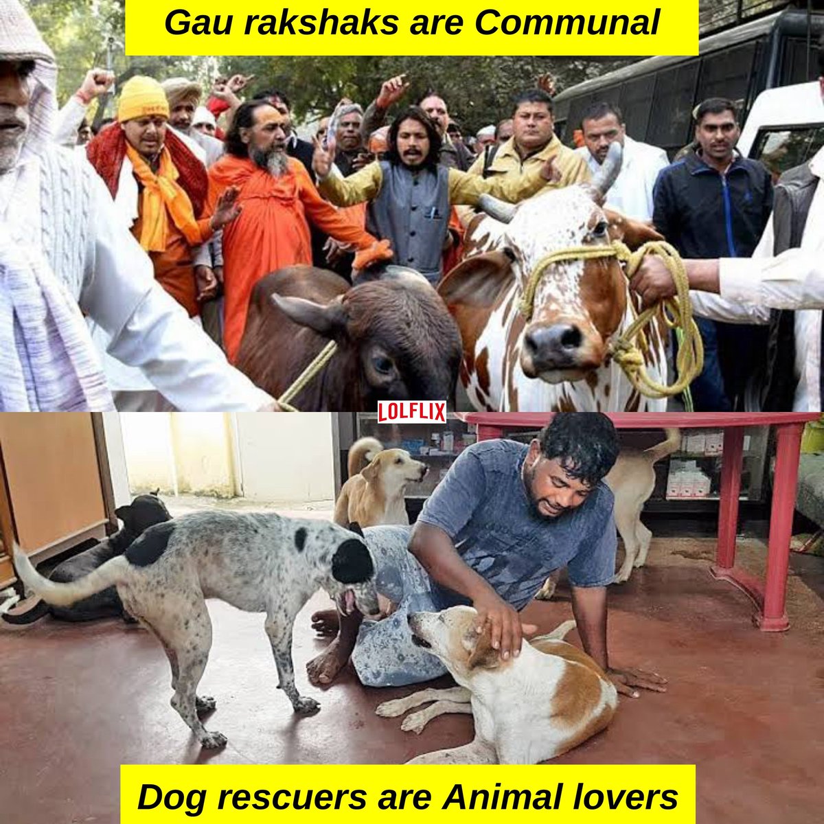 I come from Two India's