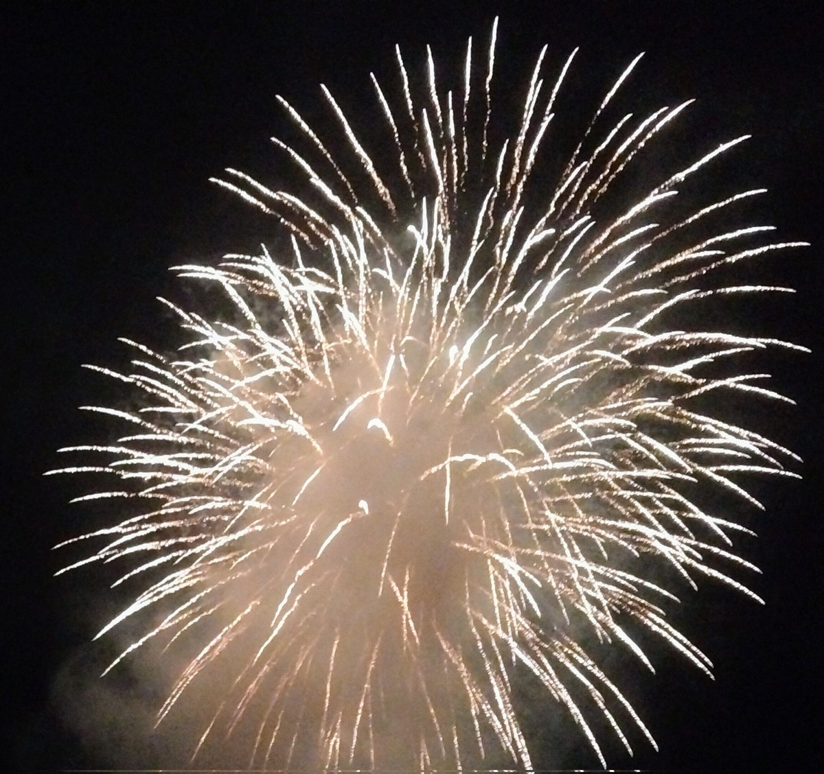 昼間っからの場所取りもなく
ふらっと見れるような

花火の音がするね～
どれどれ行ってみようかね☺️

くらいの気合い入れなくていい花火大会なんぞ無いものか