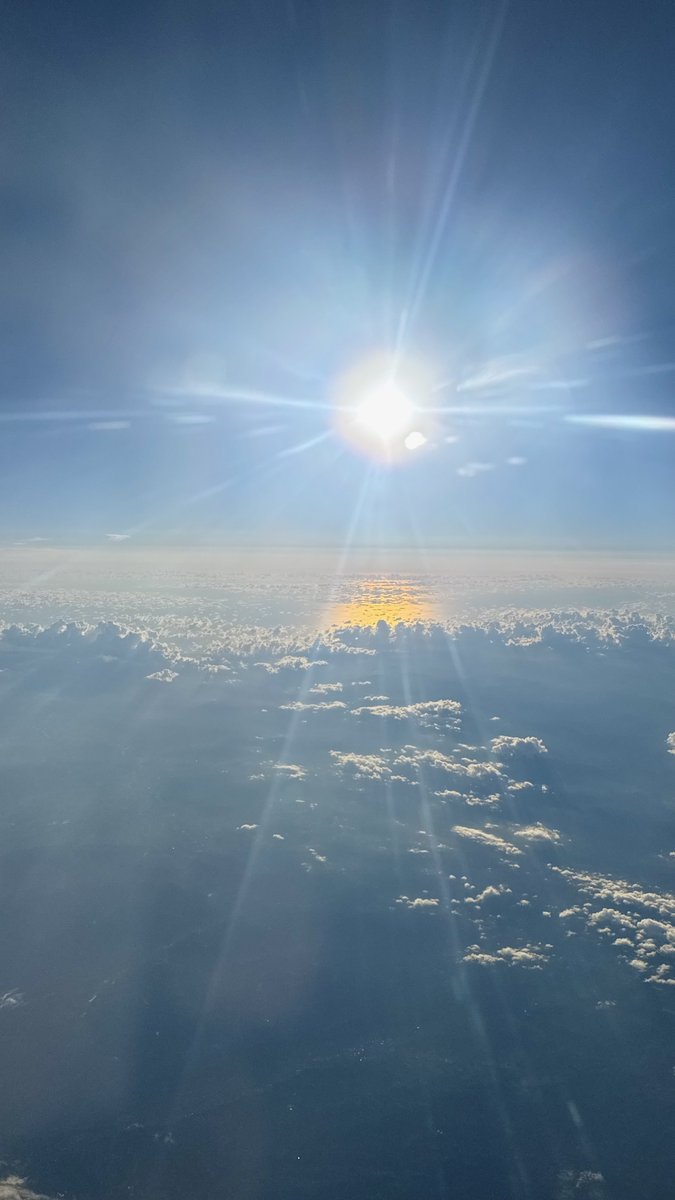 生きる事がつらいとか
苦しいだとか言う前に
野に育つ花ならば 力の限り生きてやれ
（大空と大地の中で）