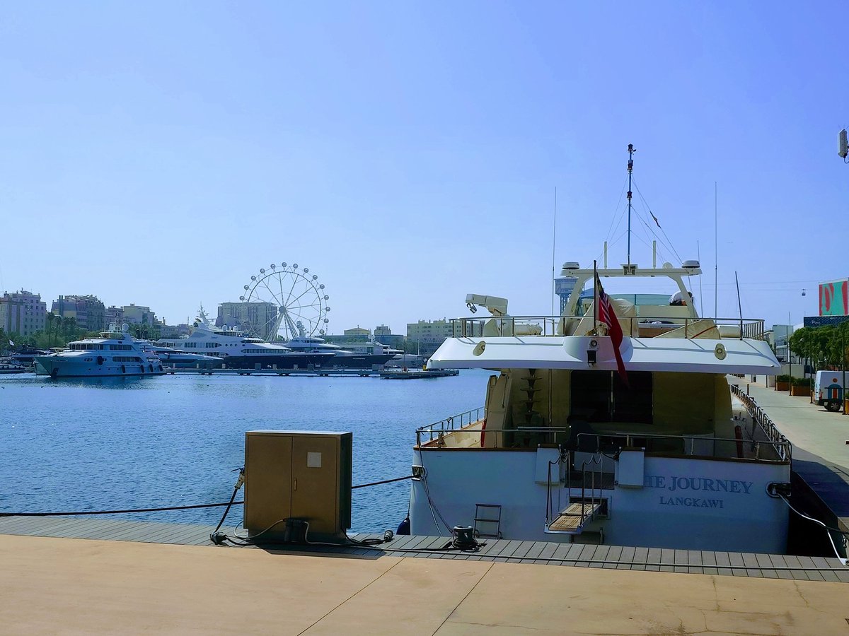 Masahiro Shigaya tweet media