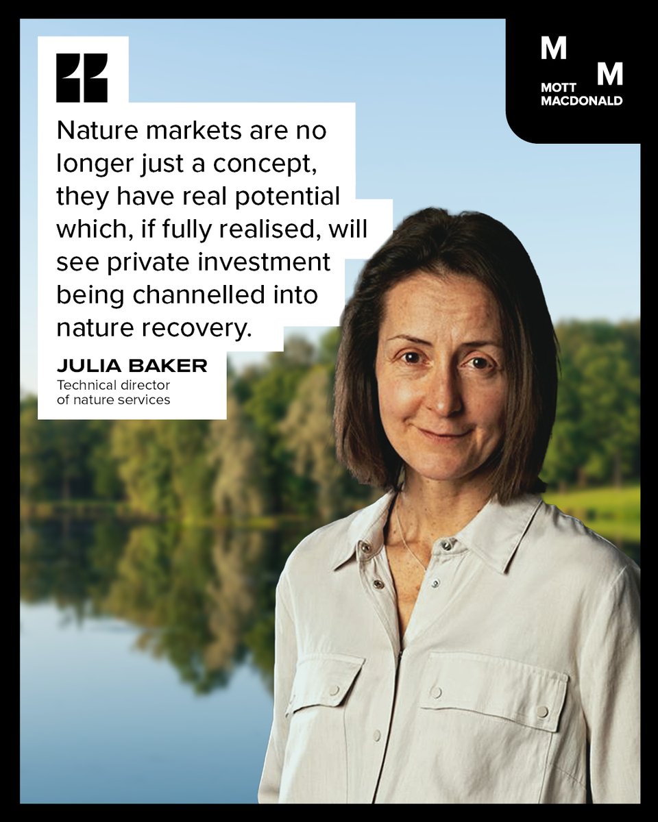 Thought leadership - Challenges of creating nature markets to support BNG