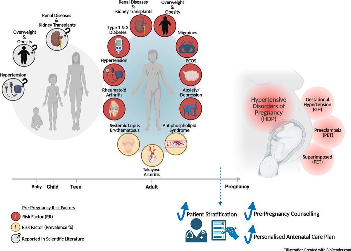 ✨ New research alert! ✨
Our new systematic review about pregestational maternal health and hypertensive disorders of pregnancy is live!
🔗 Read FREE: kwnsfk27.r.eu-west-1.awstrack.me/L0/https:%2F%2…

#MaternalHealth #WomensHealth #pregnancycare #cardiovasculardisease 

 <a href="/unil/">Université de Lausanne</a> <a href="/Ox_wrh/">Nuffield Dept of Women's & Reproductive Health</a> <a href="/IdrmOxford/">Oxford_IDRM</a>