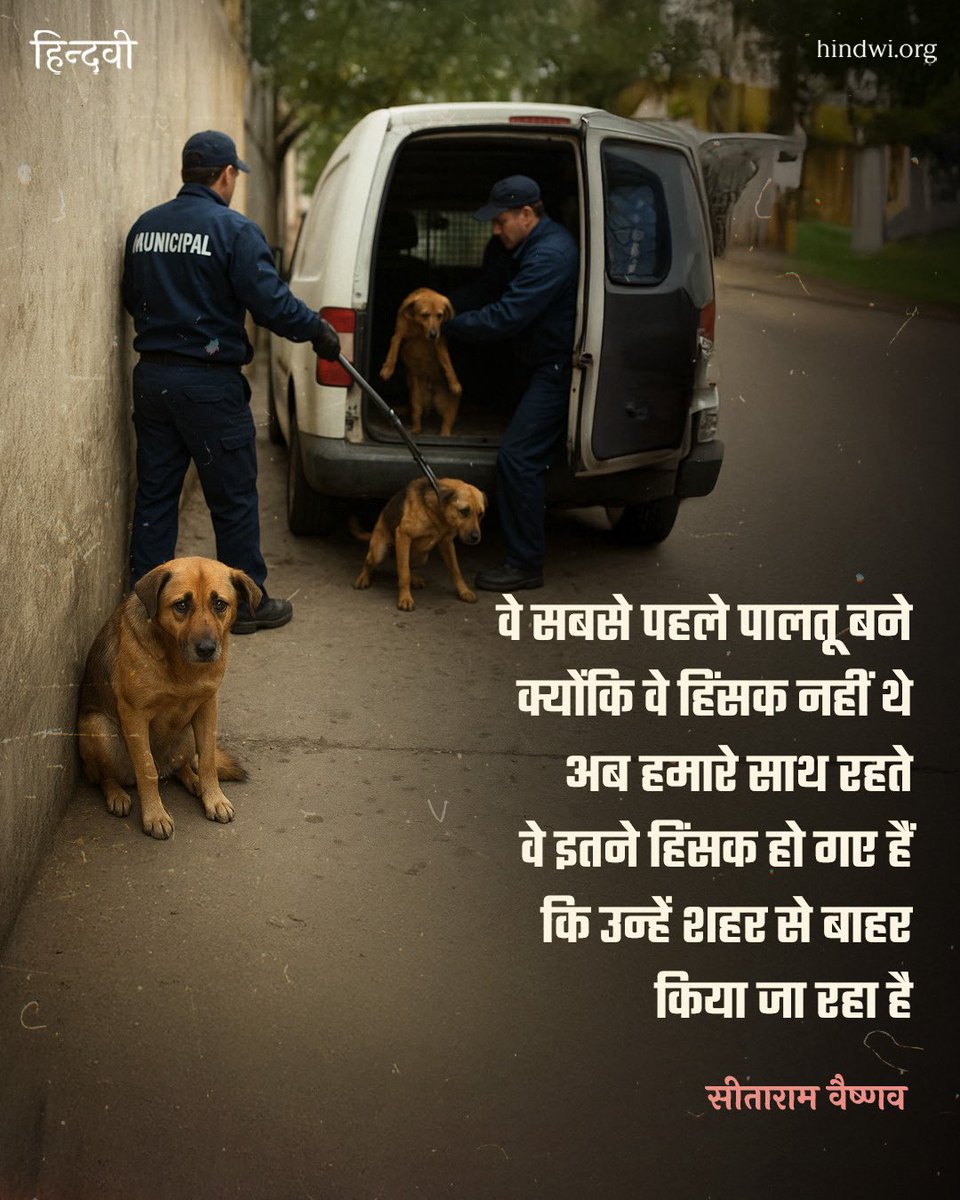 hindwiOfficial's tweet photo. • कवितांश

#hindwi #kavitansh #straydogs #DogLovers https://t.co/e2E5YEfTWx