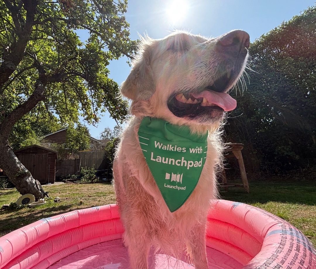 Launchpad_RDG's tweet image. If like Poppy here, you took part in Walkies! last year you will have been sent a discount code to register again. Newbies can register for £7 and will receive this bandana for their dog. #HotDog #PaddlingPool #heatwave #StayCool f.mtr.cool/ublrmaeduh