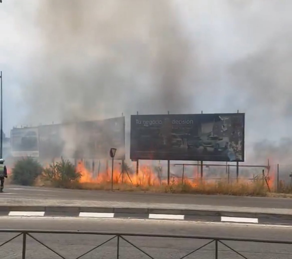 El consejero de Medio Ambiente de Castilla y León (PP) dice esto sobre los incendios. 😳

Me gustaría saber si esta es la opinión del Gobierno PP+ULEG de #Leganés.

En Leganés tampoco se limpian ni se desbrozan las zonas de riesgo. En lo que va de verano llevamos 5 incendios
