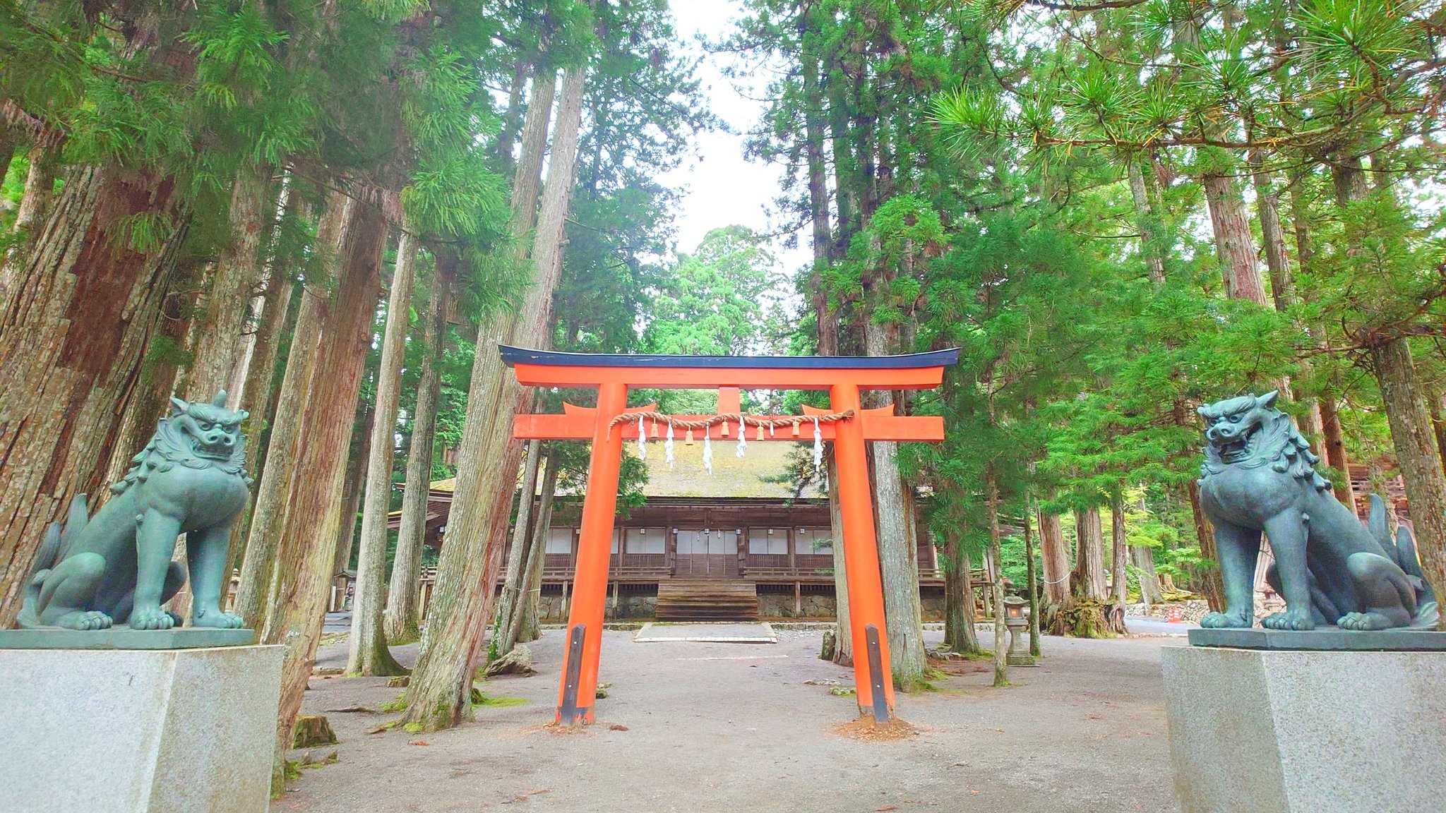 高野山大師堂【公式】 on X: 