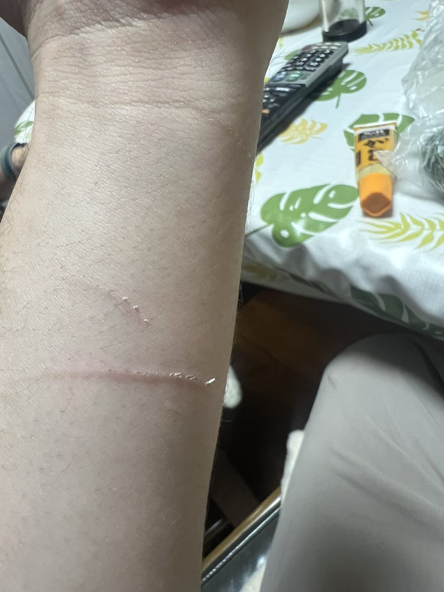 (⩌⤙⩌)ﾅﾝﾃﾞ...