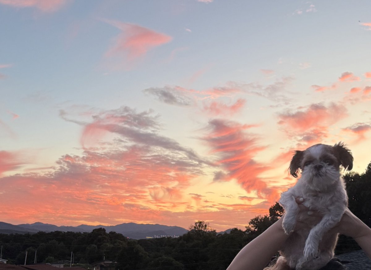 멋진 노을과 몽룡?