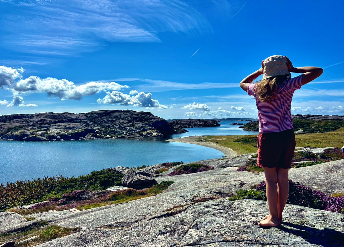 pov you remembered your ABCs and went hiking in Sweden

Always
Be 
Cselling