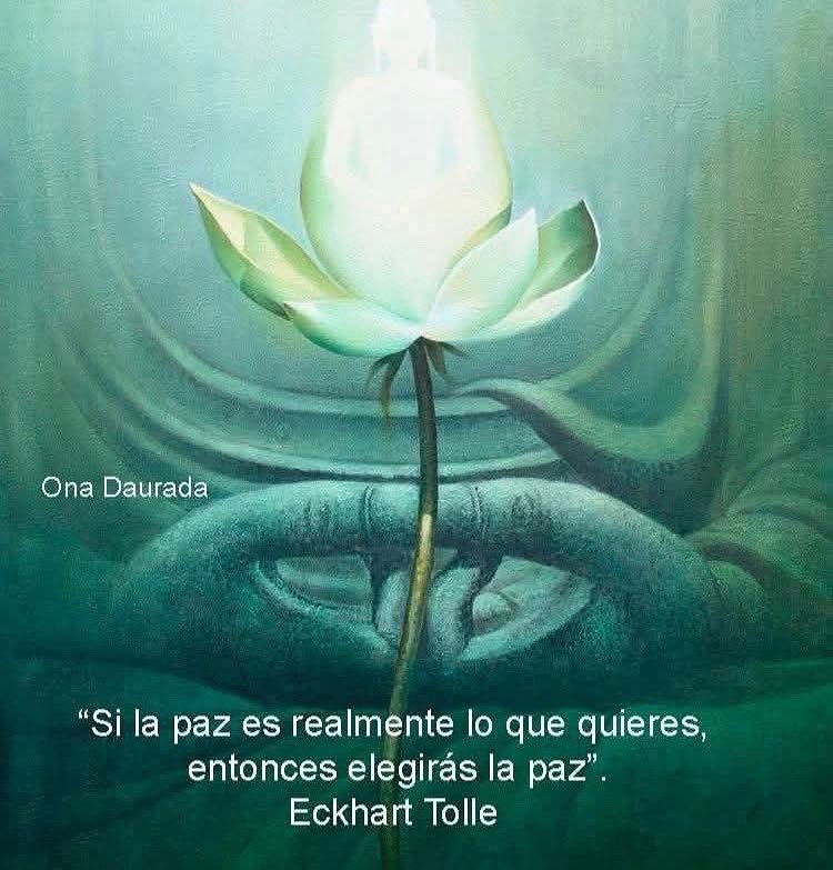 "If peace is truly what you want, then you will choose peace."
Eckhart Tolle