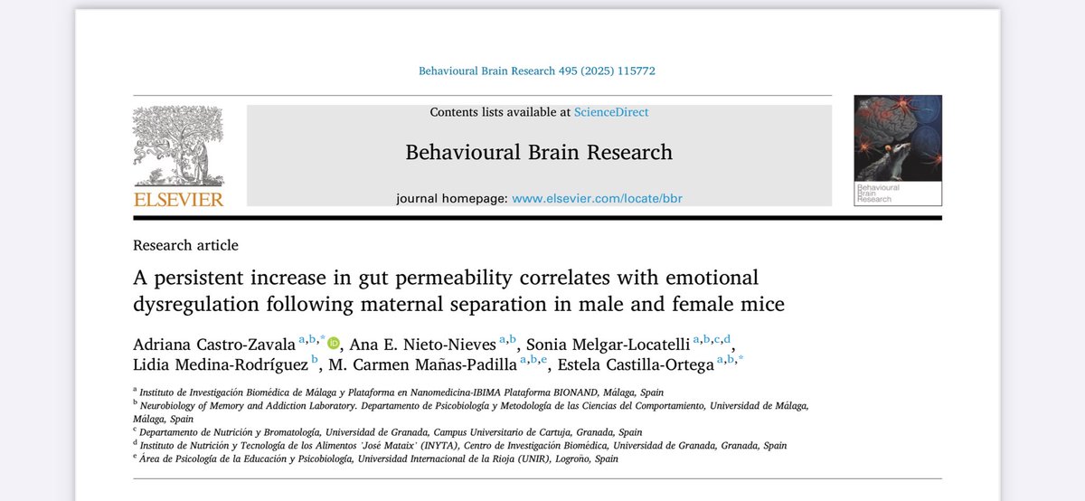 NeuroMA_Lab's tweet photo. Here our most recet publication! 🧠🐭

🔗: https://t.co/C61Yev3LOG https://t.co/oCRNoqNYuk