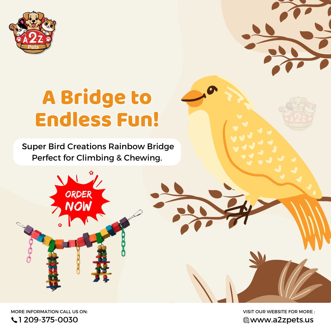 a2z_supplies's tweet photo. Give your feathered friend a playground of color and activity with the Rainbow Bridge Bird Toy – made for curious beaks and active minds.
#A2ZPets #BirdEnrichment #RainbowBridgeToy #BirdPlaytime #HealthyBirds https://t.co/xgnXuUfXAz