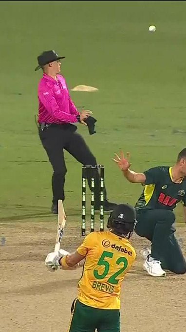 Sheesh! Josh Hazlewood narrowly avoided this one 🫨