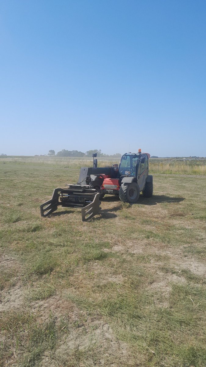 Michael Schippers tweet media