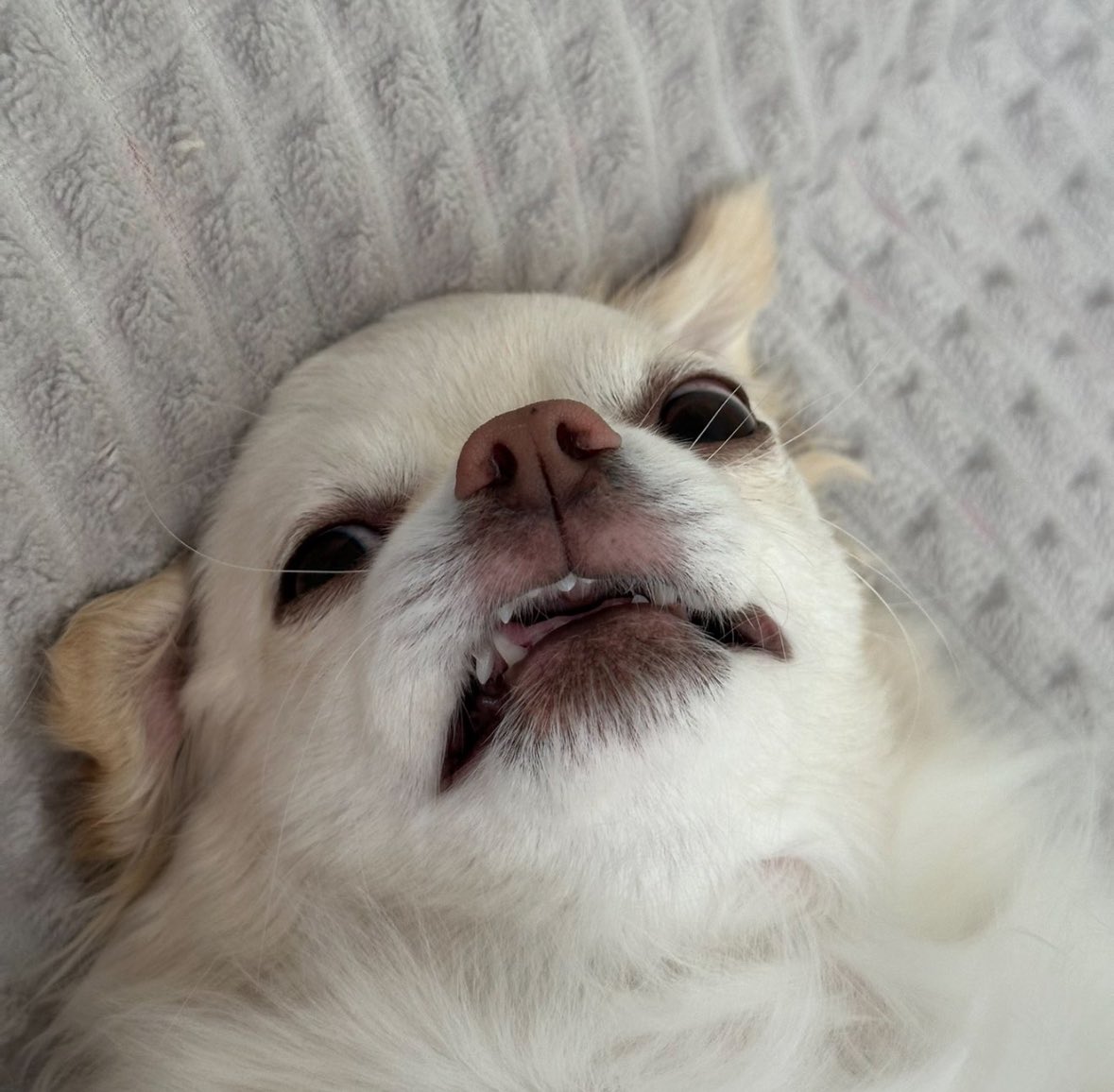 RyanEire 🔺💧 🦧 tweet media