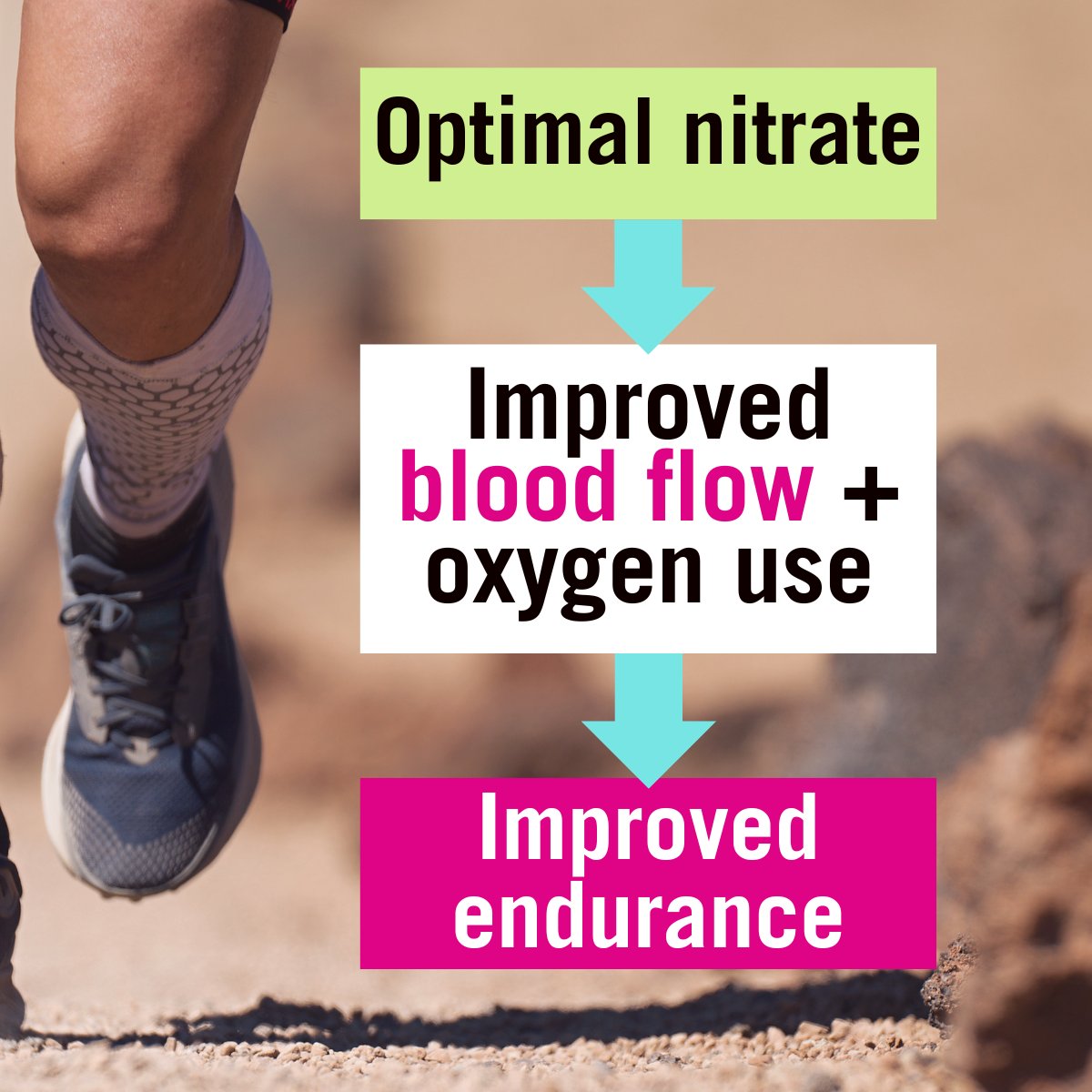 Long story short: 

Boosting your body’s nitrate levels can enhance endurance by improving blood flow and making muscles work more efficiently💪

Head over to our blog page (beet-it.com/blogs/news) for the lowdown on the science behind nitrates.