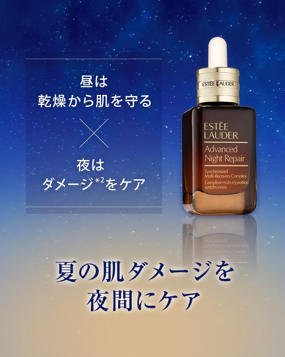 エスティローダー　ナイトビューティーセット　17000円相当 限定セット | ギフト | エスティ ローダー Estée Lauder 公式
