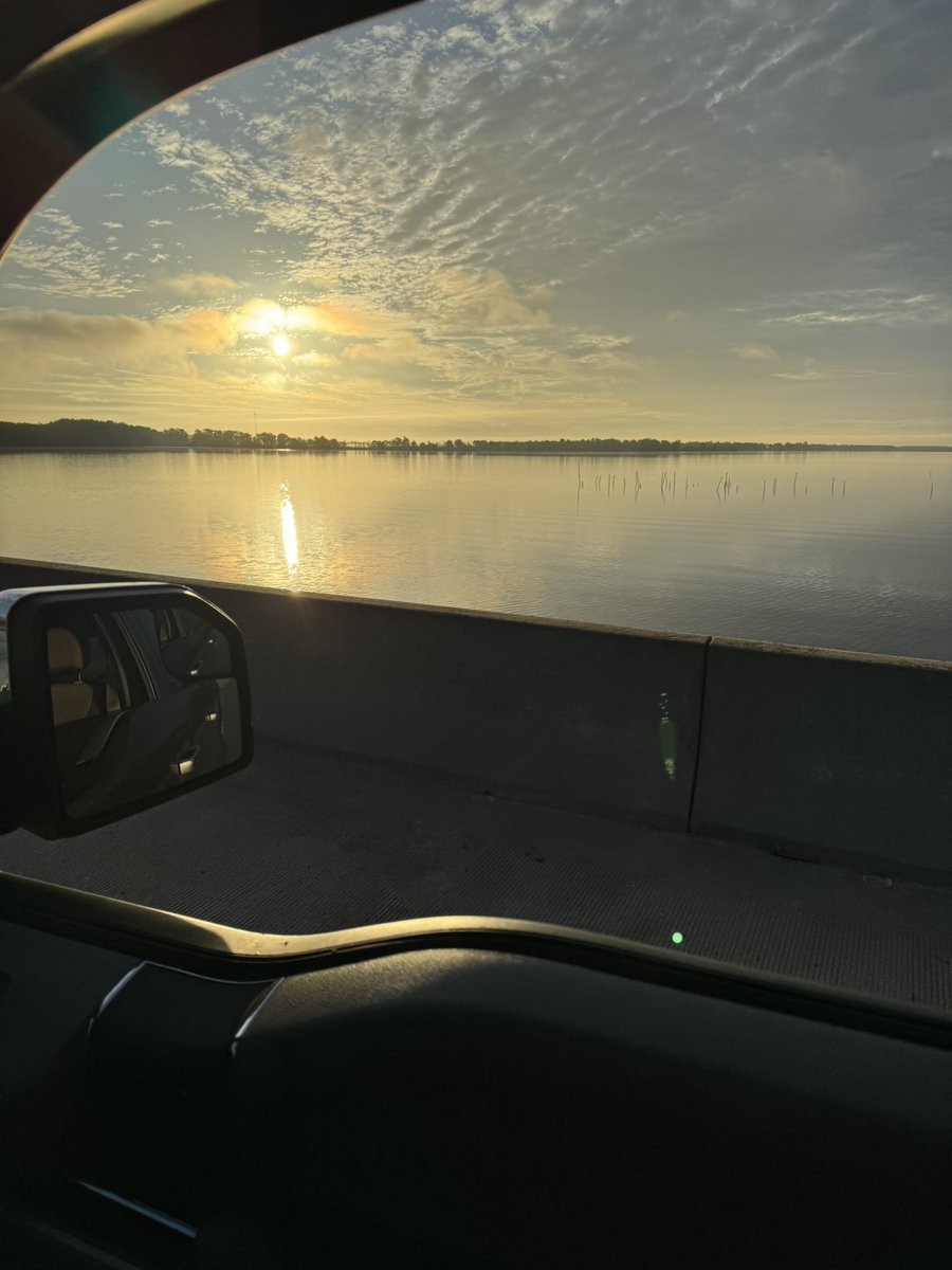 Bearman300 tweet media