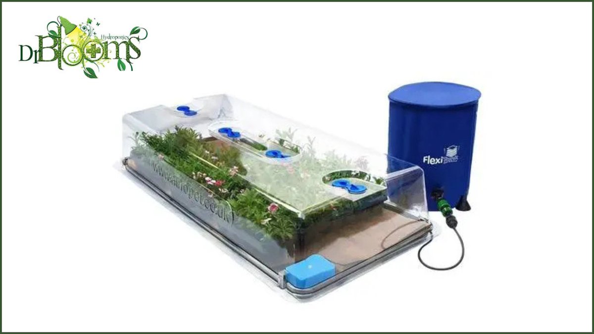 allotmentonline (@allotmentonline) on Twitter photo It's Day 12 of our giveaway. Enter to win an Autopot Easy2Propagate Complete Kit from <a href="/DoctorBloomsHyd/">Dr Blooms Hydro</a>
Please follow us and <a href="/DoctorBloomsHyd/">Dr Blooms Hydro</a> , tag/share and enter online at
allotmentonline.co.uk/win-an-autopot…
#win #competition #propagation #gardening #allotment #allotmentlife #growyourown It's Day 12 of our giveaway. Enter to win an Autopot Easy2Propagate Complete Kit from <a href="/DoctorBloomsHyd/">Dr Blooms Hydro</a>
Please follow us and <a href="/DoctorBloomsHyd/">Dr Blooms Hydro</a> , tag/share and enter online at
allotmentonline.co.uk/win-an-autopot…
#win #competition #propagation #gardening #allotment #allotmentlife #growyourown