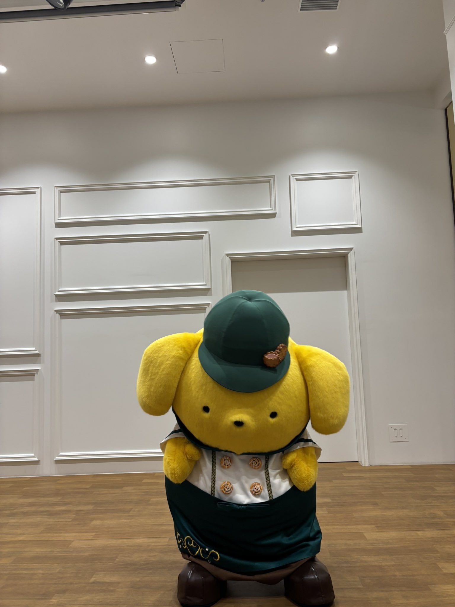 サンリオピューロランドに行ってきました　８個 feature-