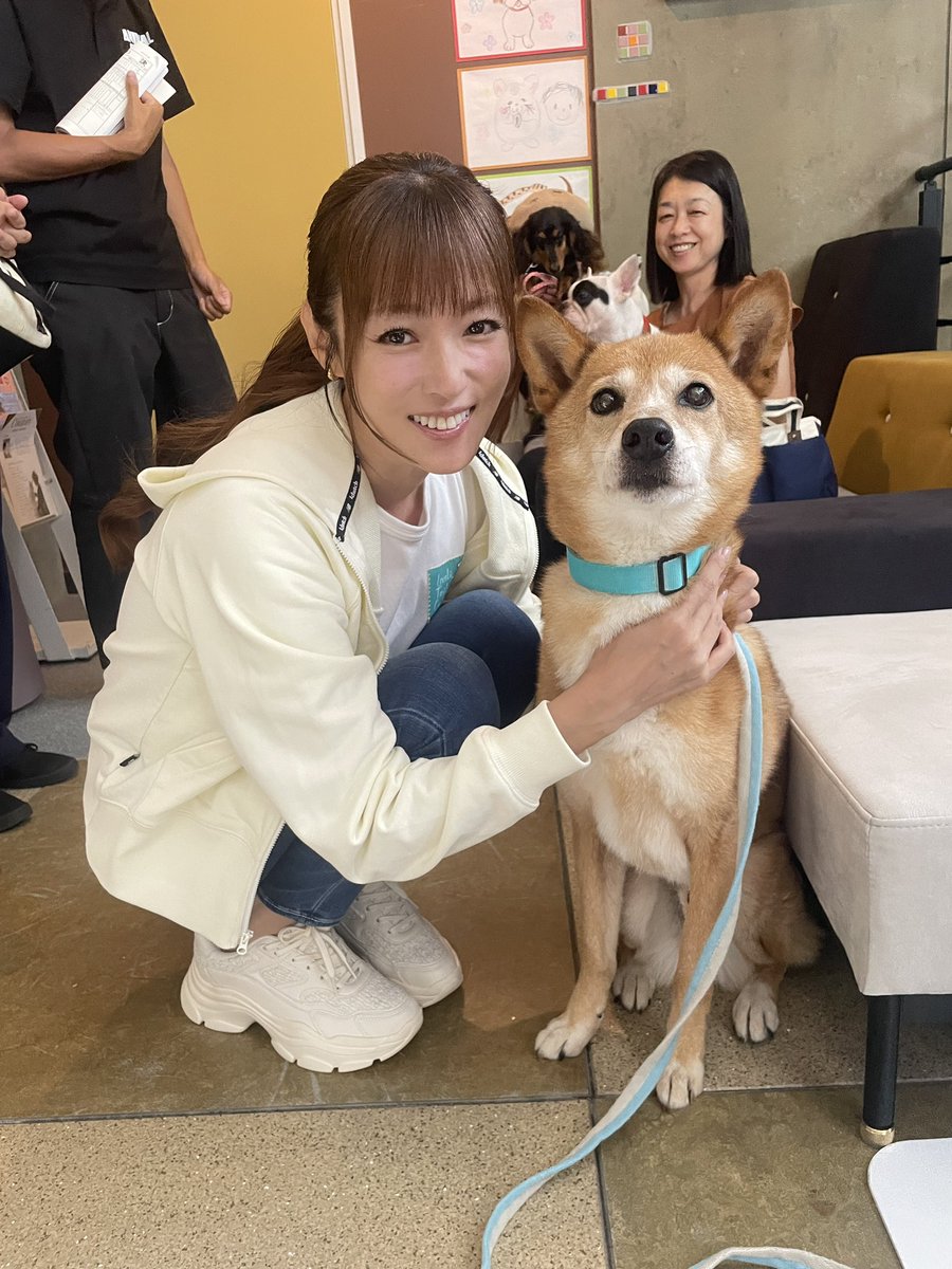 非売品 深田恭子 最後の果実 ノースリーブパーカー サイズF ポニーキャニオン 非売品 深田恭子 最後の果実 ノースリーブパーカー サイズF