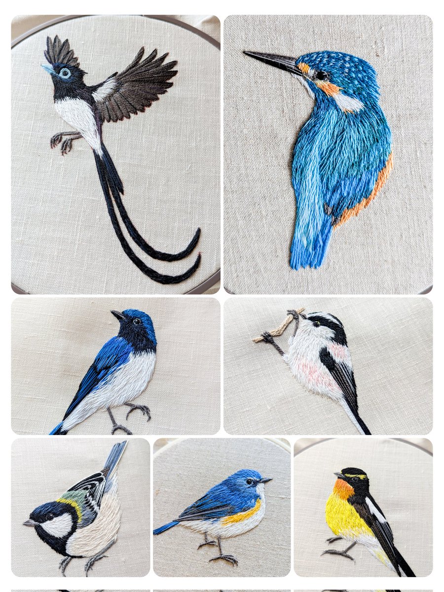 #高みを目指すハンドメイド
#刺繍
いつか…動いてくれることを夢見て…
今にも動き出しそうな野鳥たちを作っていきたいです🕊️