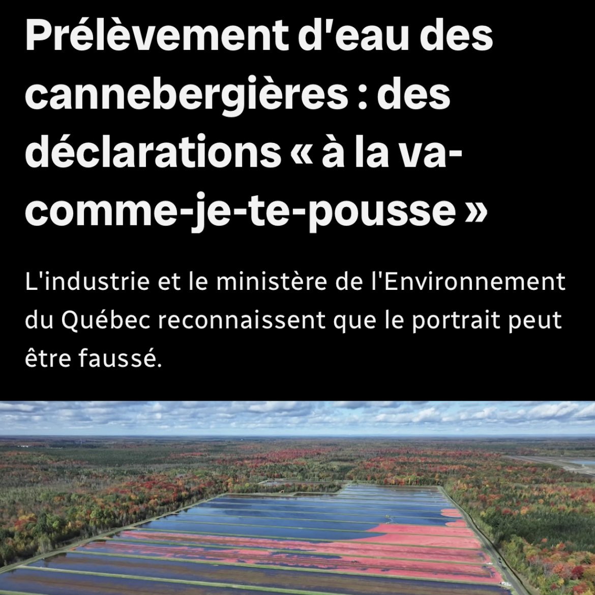 Prélèvement d’eau des cannebergières : des déclarations « à la va-comme-je-te-pousse ».

L'industrie et le ministère de l'Environnement du Québec reconnaissent que le portrait peut être faussé. ici.radio-canada.ca/nouvelle/21846…