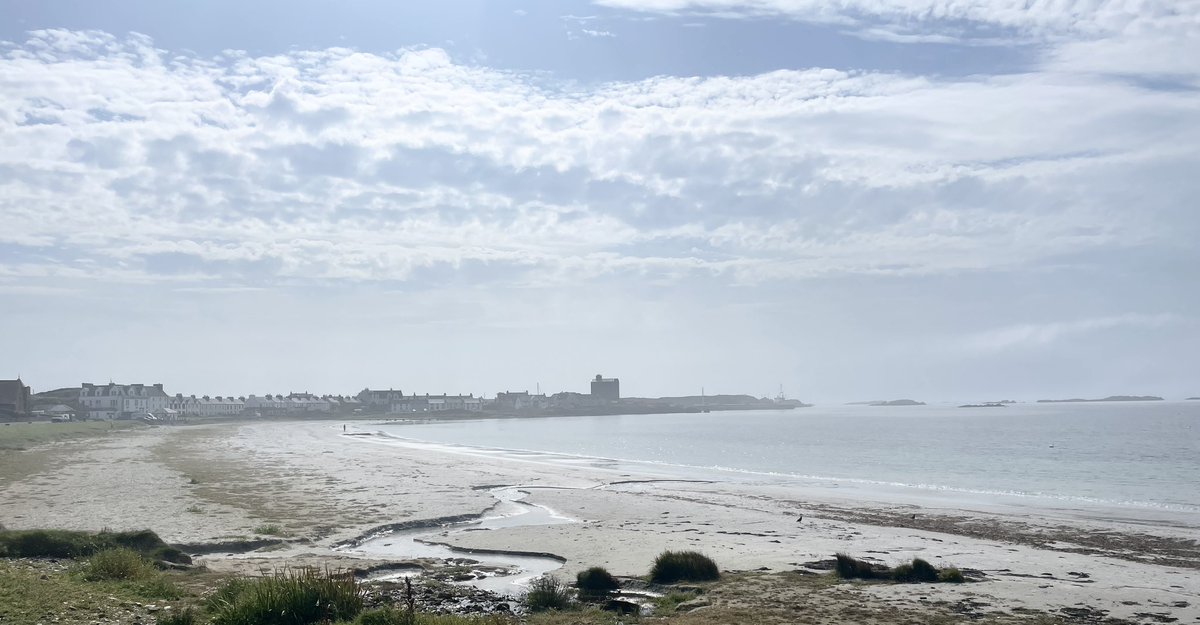 Winna Ding tweet media