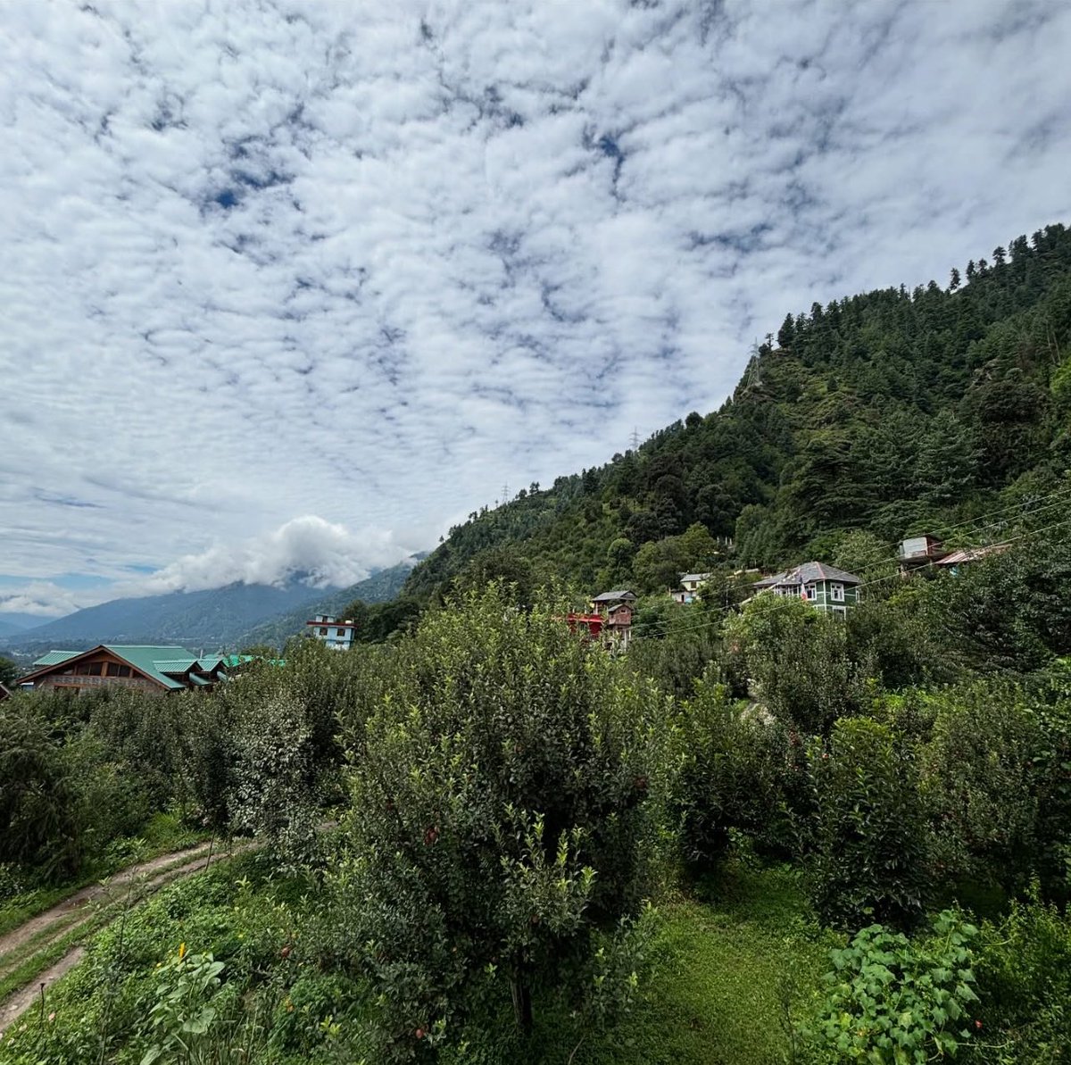 A view of my native place in Kullu Himachal Pradesh
