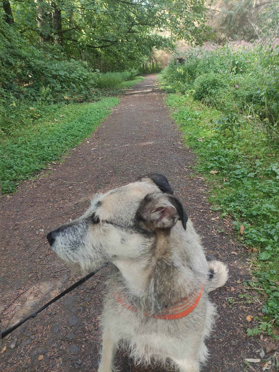 Been to loch this morning for a meander before it too warm 🥵