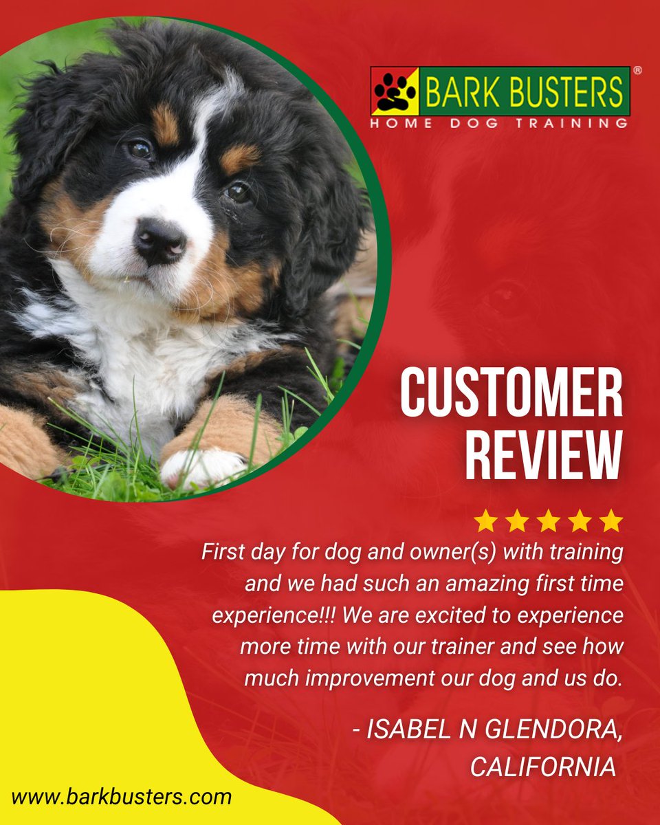 barkbusterla's tweet image. 🐶🎯 Training made simple, results that last! Our personalized sessions help your pup learn faster and behave better—naturally. 🐾❤️ barkbusters.com/dog-training/g… #BetterBehavior #InHomeTraining
