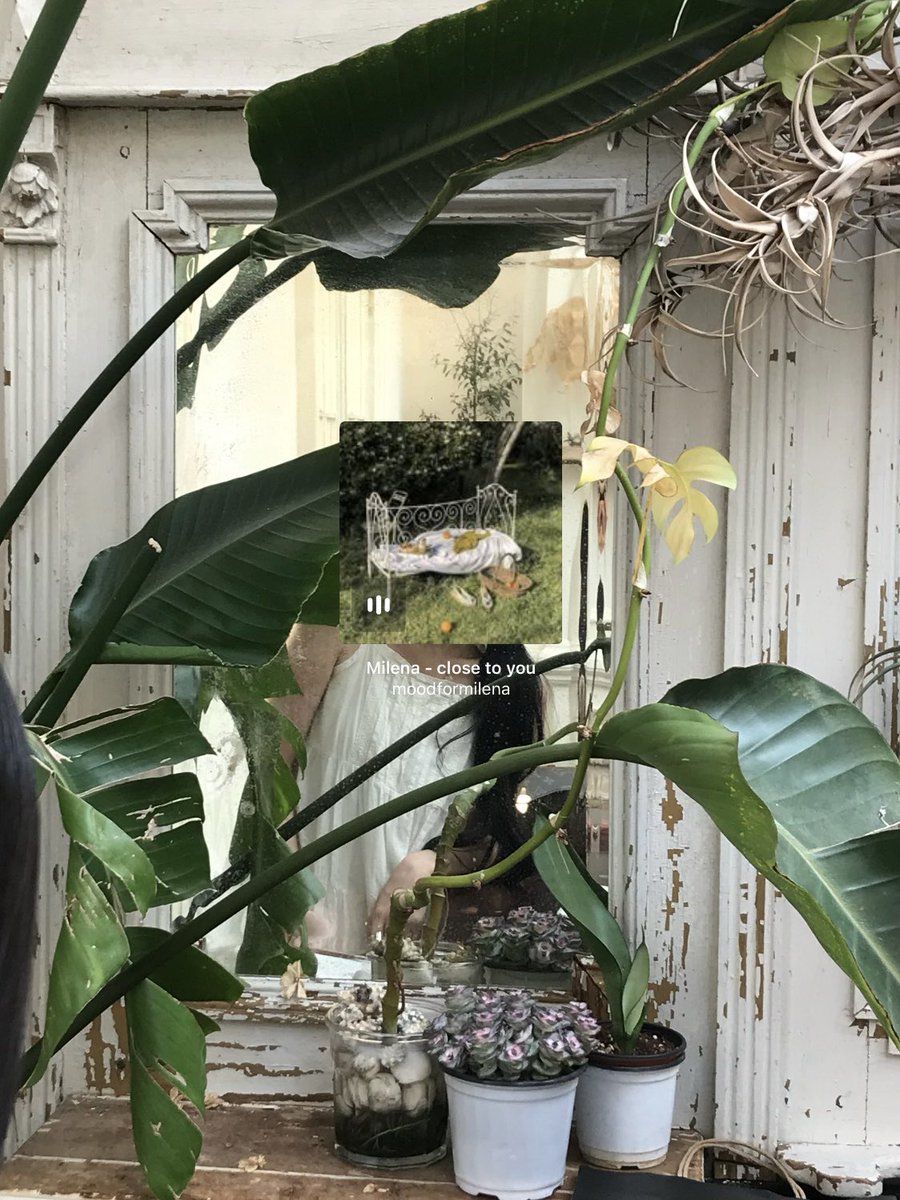 여름아 가 … 아니 가지..마
아니 가