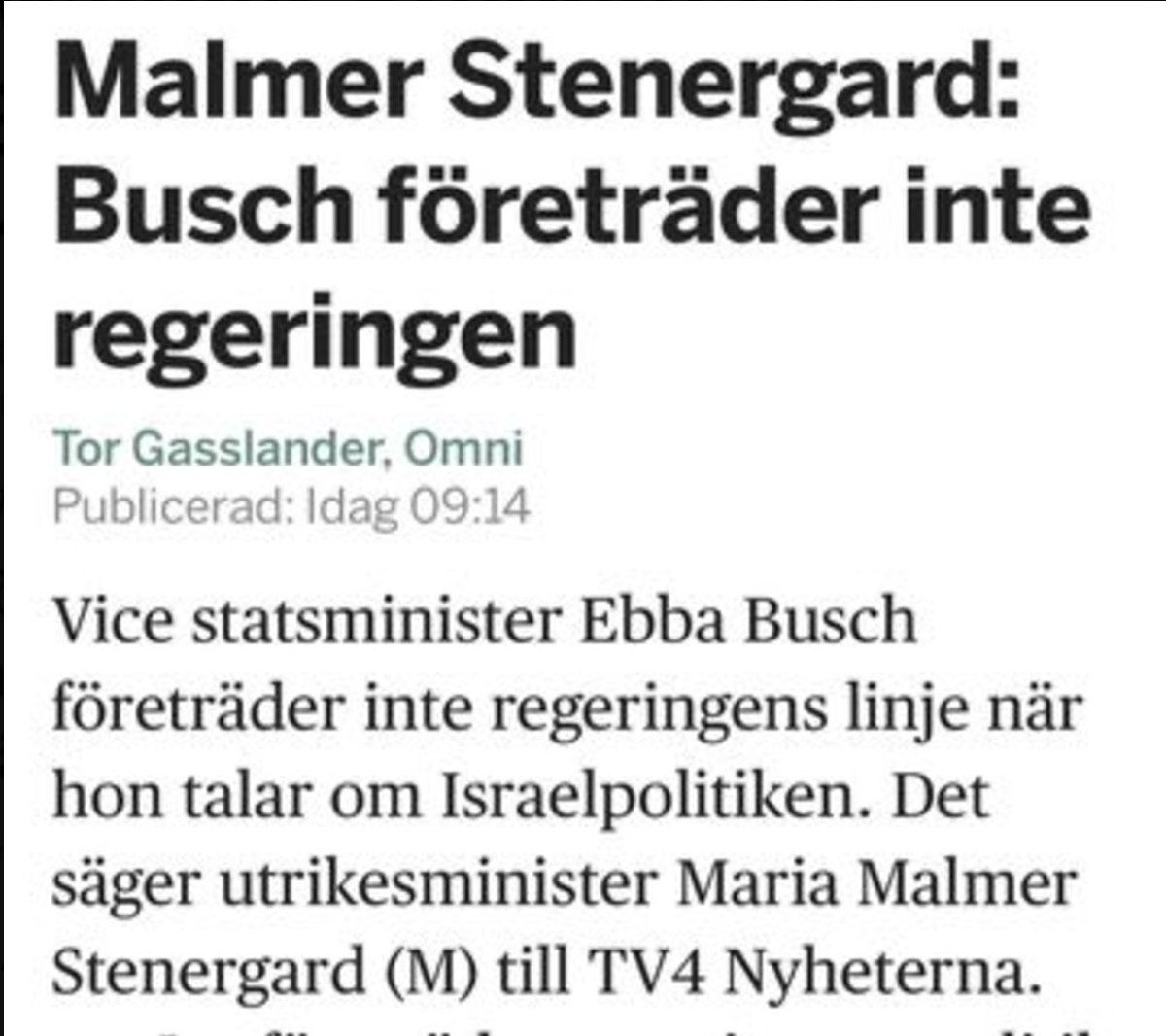 Vice statsministern företräder inte regeringen...vilka fler regeringsmedlemmar företäder inte regeringen om de uttalar sig? Bara så att vi vet...