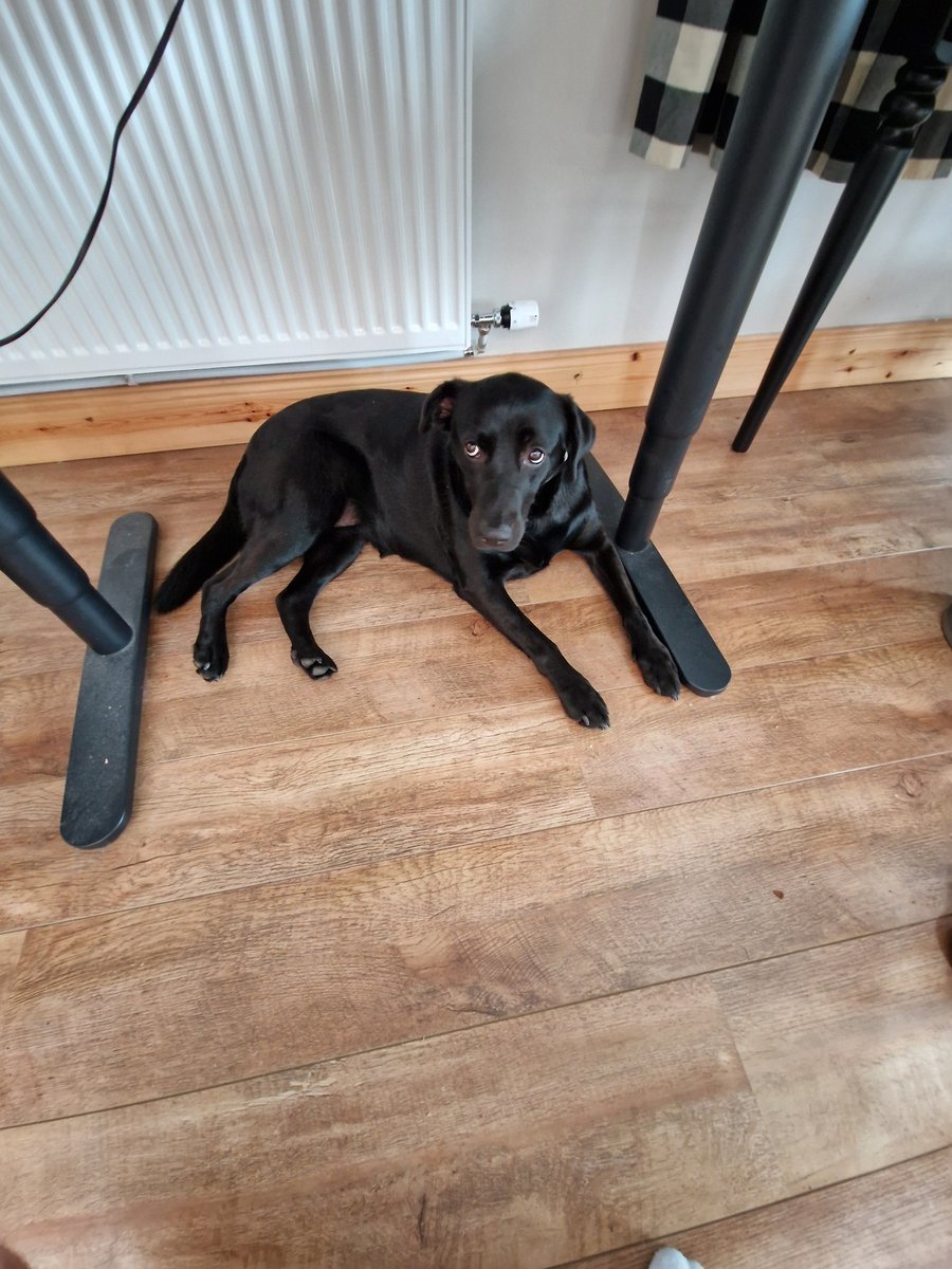 m.twitch.tv/padraigoneillp…

I'm streaming with some help today. Far too hot to be outside, let's play some poker!