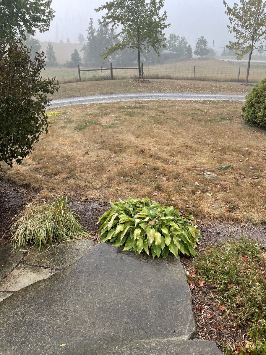 Finally we didn’t miss a rain! First one in a long time
I hope everyone that needed it is also getting it