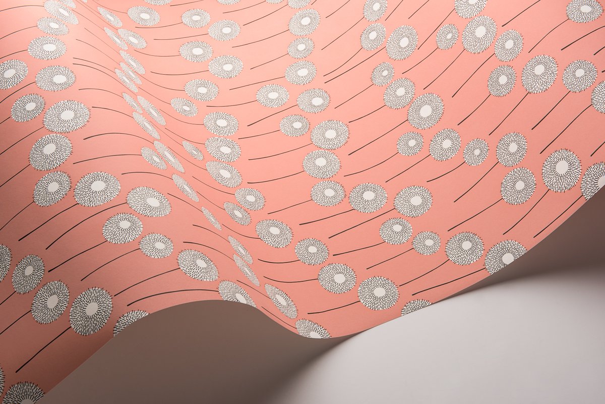 Meadow Honeysuckle Wallpaper

Featuring elegant circular and linear line drawings, this delicate design is a nod to the discovery of the first wildflower meadows of the year. 

#missprint #wallpaperinsipration #pinkwallpaper #stylingtips #wallpaperideas #wallpaperdesign