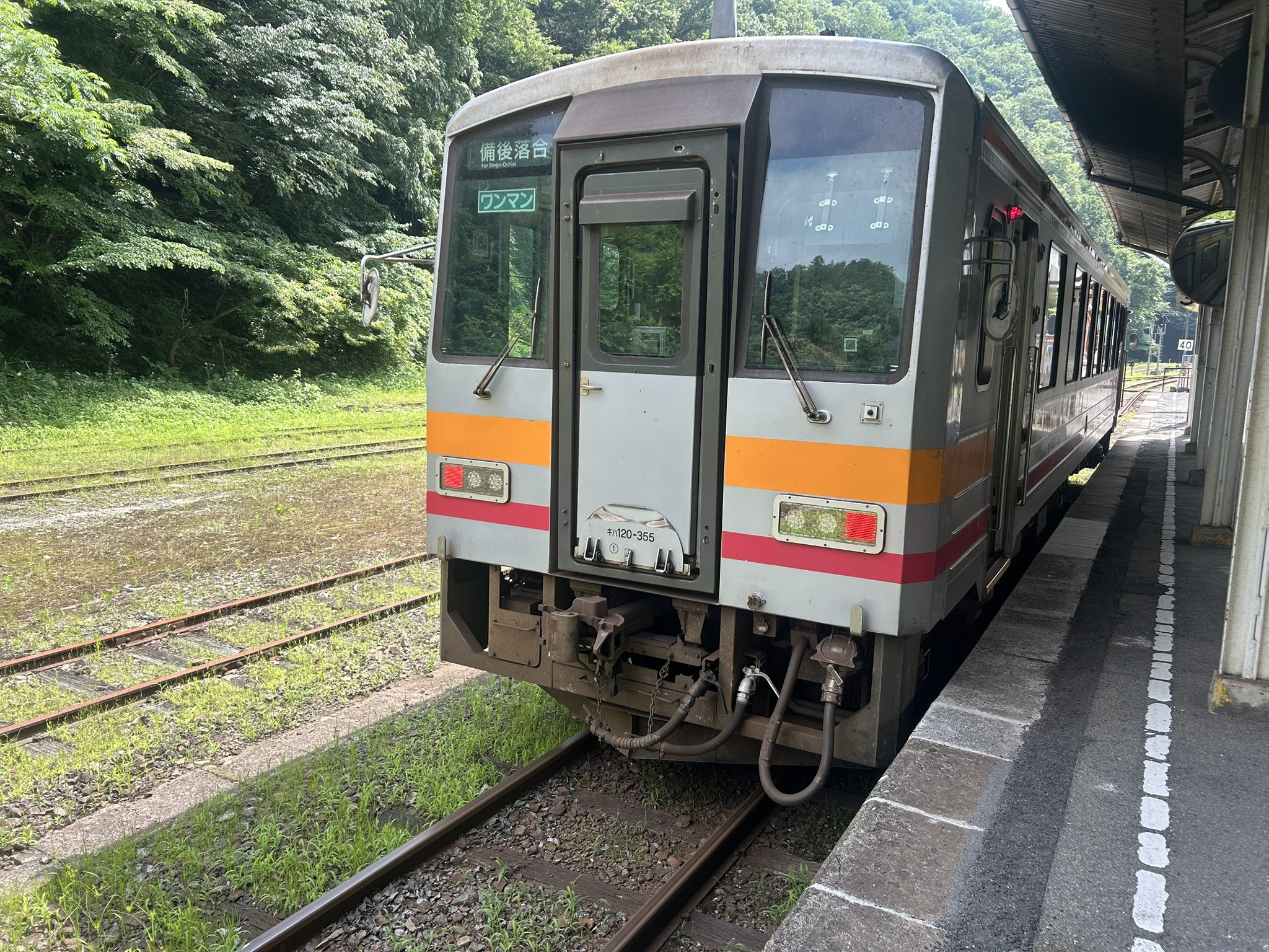 はちす​ @ホロ箱推し🌸☄️🐑👾☺️🐅🎹✨ on X: 