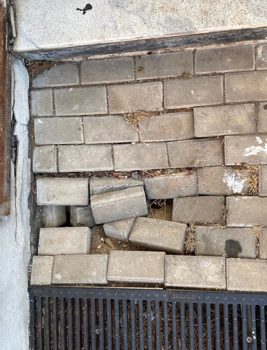 PSOE Badajoz /❤️ (@psoebadajoz) on Twitter photo La plaza Gabriel Montesinos y su entorno sufren abandono. El PSOE escucha al vecindario, exige un mejor mantenimiento y que las zonas verdes reciban mayor cuidado tras privatizarse. <a href="/silgoncha/">Silvia González /♥️</a> alerta también del colector de la calle Coimbra, que sigue pendiente.
#VamosConBadajoz La plaza Gabriel Montesinos y su entorno sufren abandono. El PSOE escucha al vecindario, exige un mejor mantenimiento y que las zonas verdes reciban mayor cuidado tras privatizarse. <a href="/silgoncha/">Silvia González /♥️</a> alerta también del colector de la calle Coimbra, que sigue pendiente.
#VamosConBadajoz