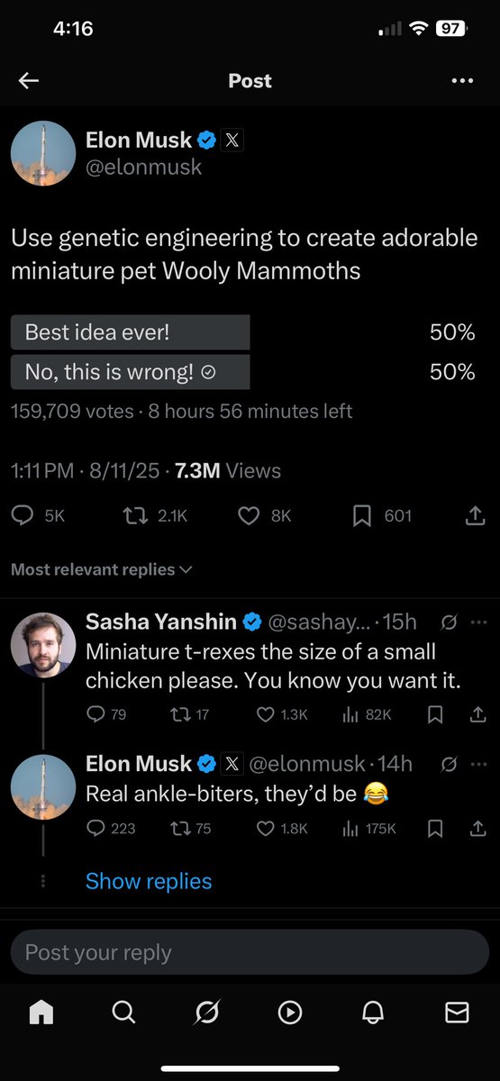 The Big Karuna tweet media