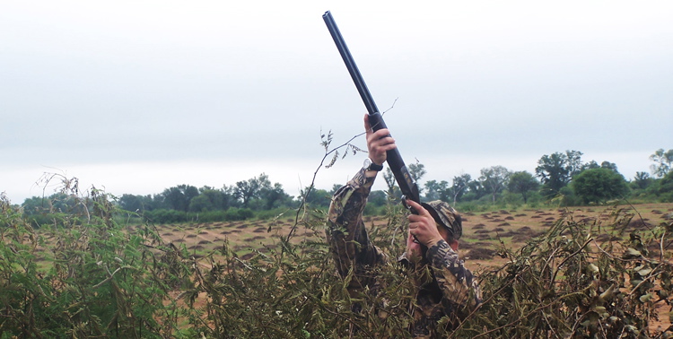 DoveHunterTV's tweet photo. Dove Club Season Hunting Membership Available Suisun Marsh - Suisun City + Duck Pheasant 
https://t.co/IVeJaRAAZk https://t.co/dhIGduHzuF