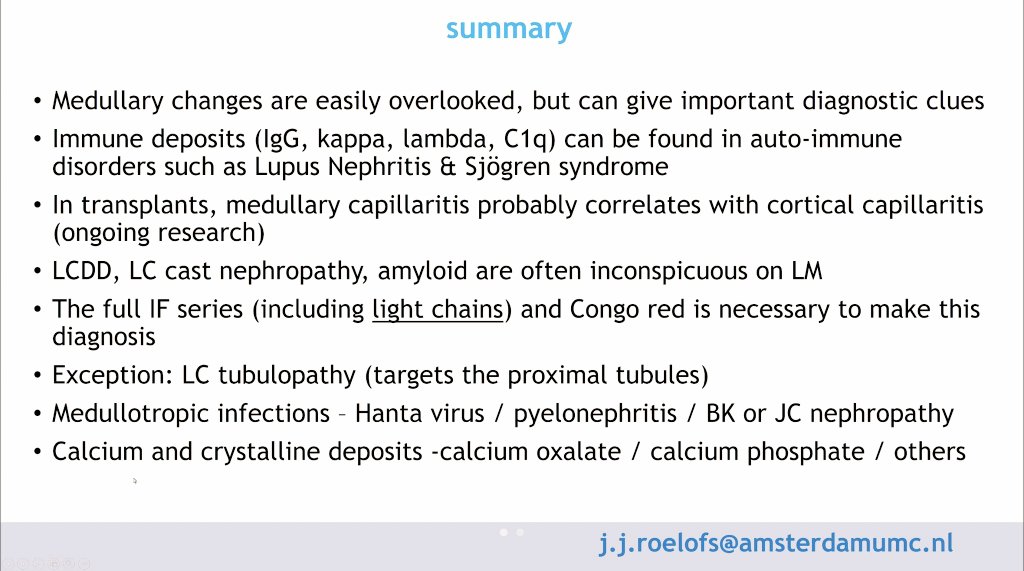 🔥Important summary slide 
👇👇 why the medulla evaluation in kidney biopsies is so important? 📷📹🔍
Great talk by Professor Joris Roelofs  <a href="/GlomCon/">GlomCon</a> seminar ✨