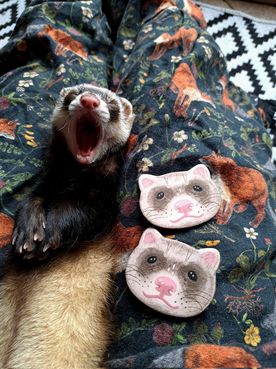 Я напечатала хорьковые значки😊