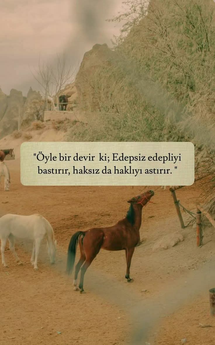 Rezalet bir devir